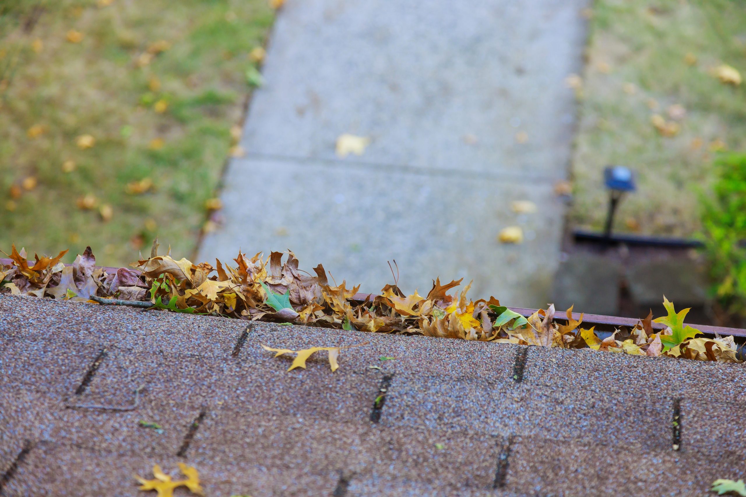 5 of the Most Frequent Problems That Are Caused by Roof Gutters