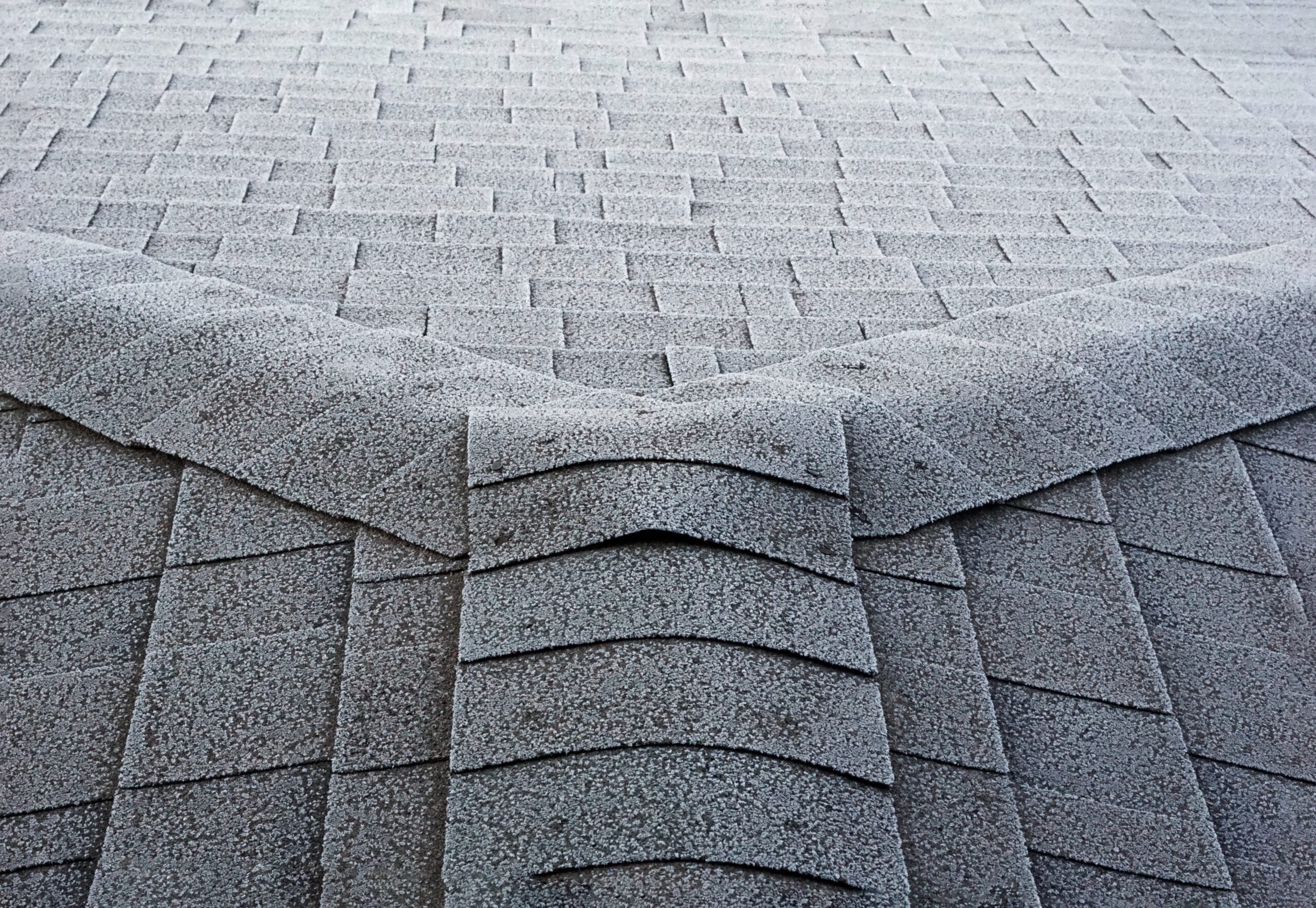 Tips For Keeping Your Roof Clean And Damage Free